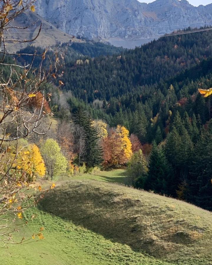 Bel Appart 3* Centre Village Villard-de-Lans Exterior foto